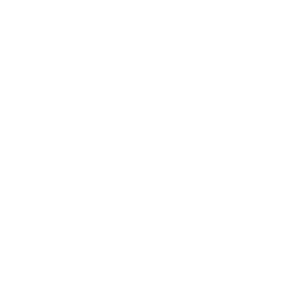 SMTS logo.